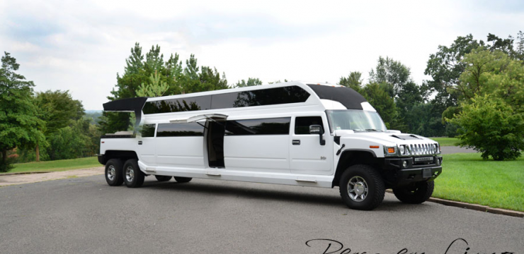 Choose the Best Party Bus Rentals For Your Party