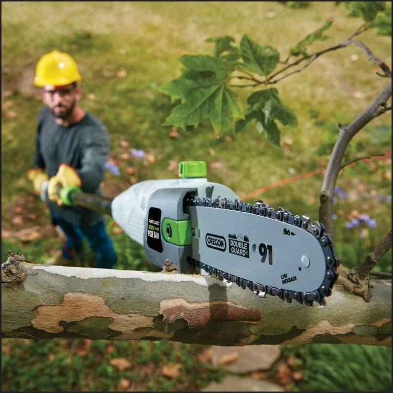 What to Look for in a Cordless Pole Saw