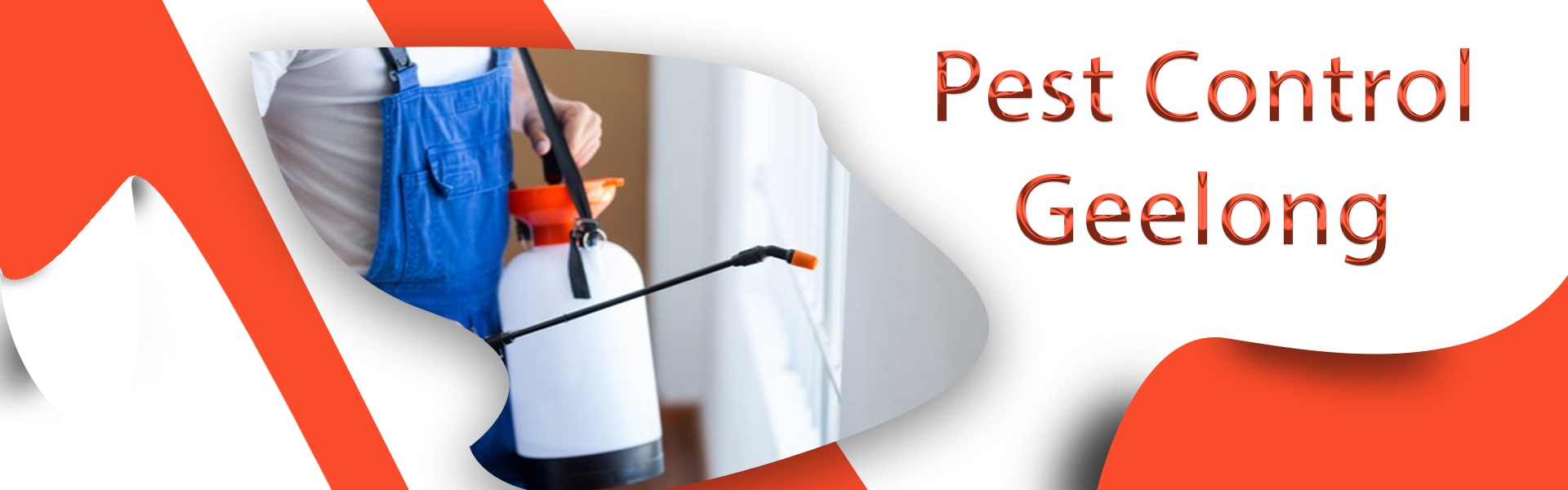 Best Reasons to Hire a Pest Control Company