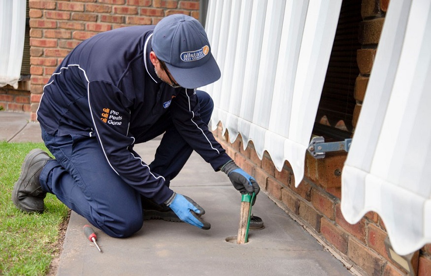 Termite treatment Adelaide plays a key role in eliminating termites.