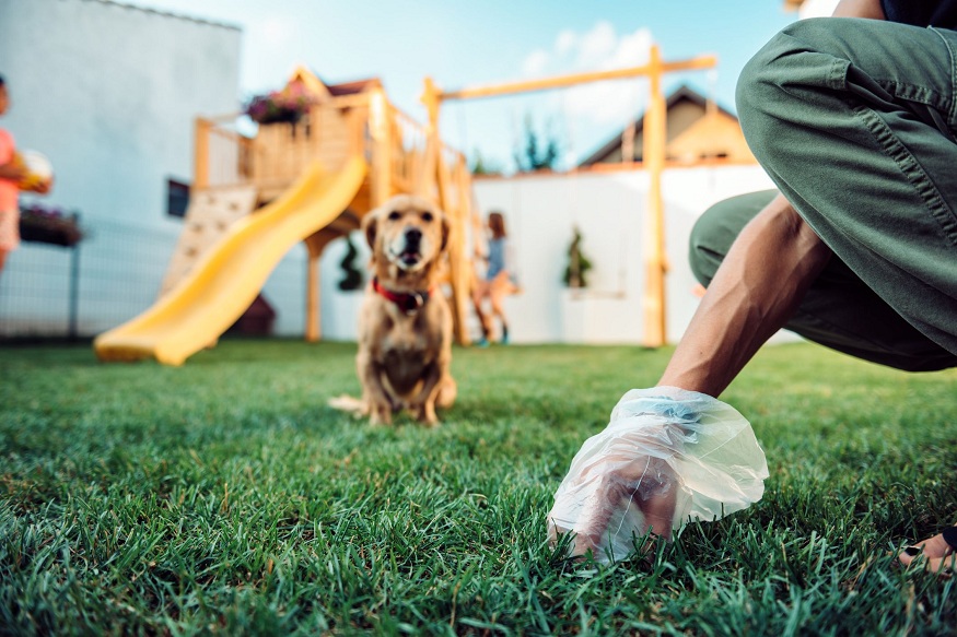 Maintaining a Clean Yard: A Comprehensive Guide to Professional Waste Removal